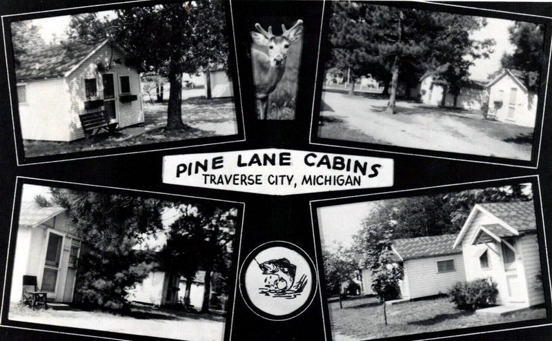 Pine Lane Cabins - Old Postcard